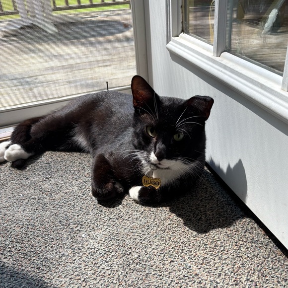 About Me - Picture 4 of 5